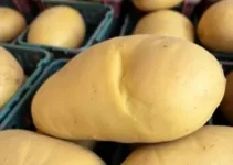 batata