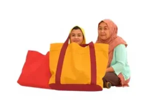 Bolsa Família e BPC