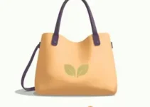 Bolsa Família