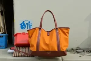 Bolsa Família