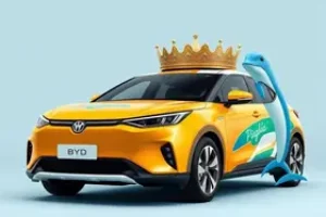 BYD King