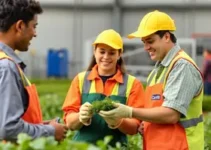 Jovem Aprendiz Cargill