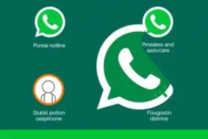WhatsApp Ministério da Cidadania