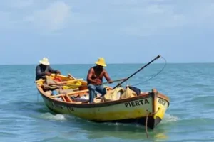 benefício do seguro-defeso