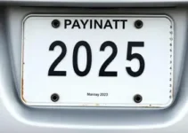 licenciamento 2025 placa final 9