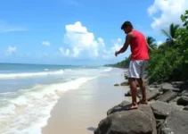Dívida Zero