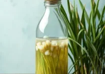 jogar água de arroz no cabelo