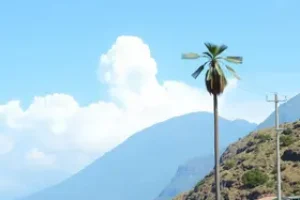 Refis de Montes Claros