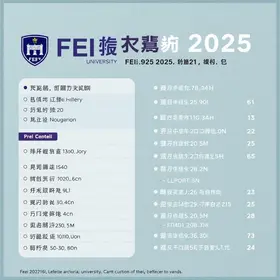 Vestibular FEI 2025