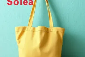 Bolsa Família