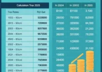 Contribuição ao INSS 2025