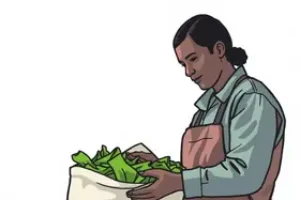 Programa de Aquisição de Alimentos