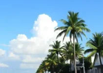 negociação de dívidas