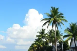negociação de dívidas