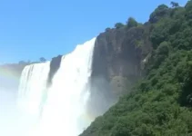 Detran Foz do Iguaçu