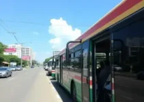 ônibus grátis Porto Velho eleições